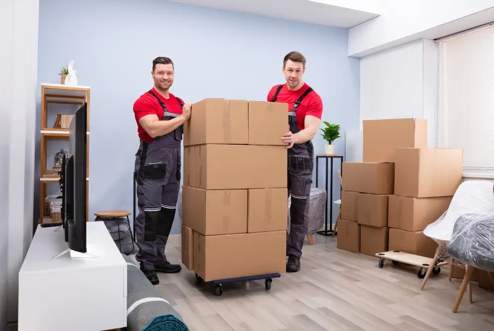 moving company provides commercial services luxury relocations operated certified professionals