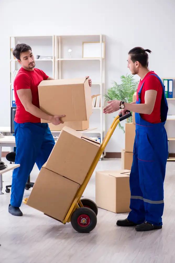 alafaya moving services provides moving process for local moves